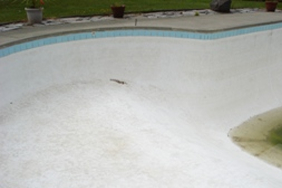 water proofing solution in Hyderabad | Waterproofing contractors
